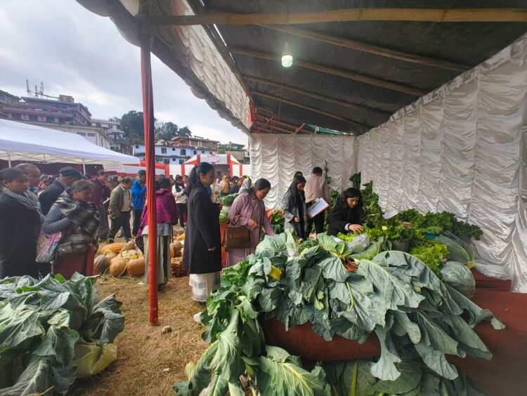 Horticulture Exhibition held in Jowai