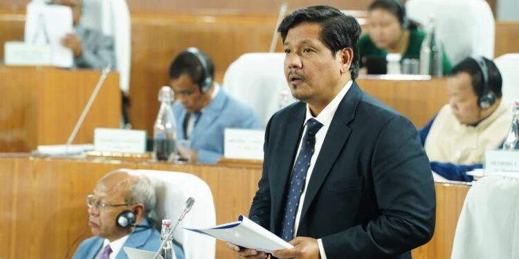 CM reassures Assembly of strong action on illegal mining