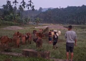 Complaint alleges cops involved in rampant smuggling & extortion in NGH