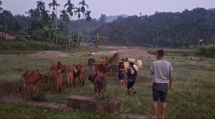 Complaint alleges cops involved in rampant smuggling & extortion in NGH