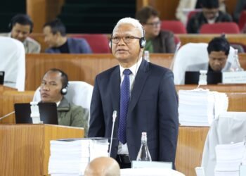 Celestine praises growth story; Ardent cautions uneven devp