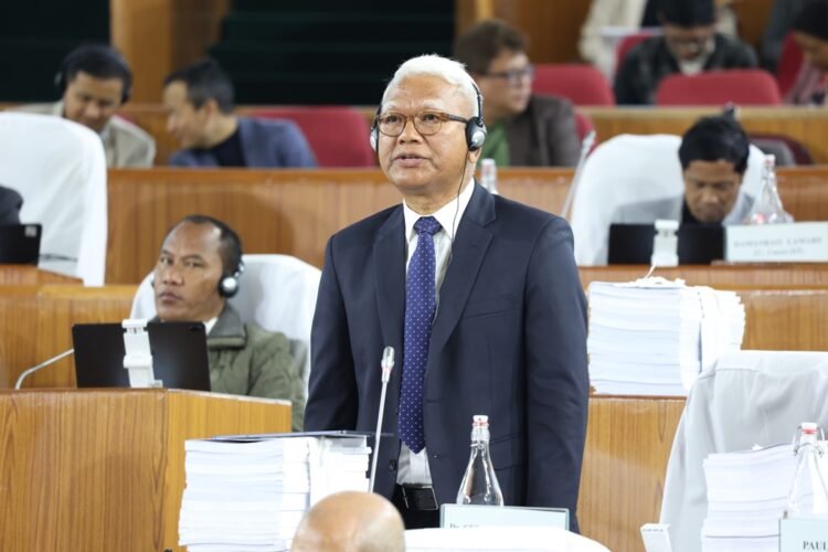 Celestine praises growth story; Ardent cautions uneven devp