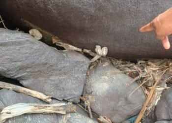 Skeletal remains suspected to belong to missing man found