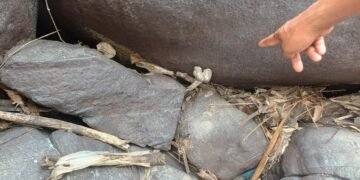 Skeletal remains suspected to belong to missing man found