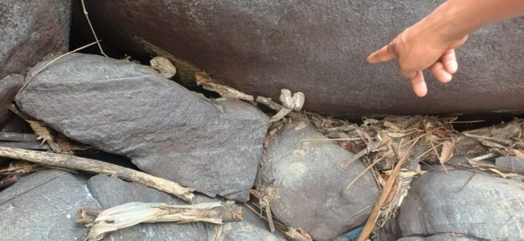 Skeletal remains suspected to belong to missing man found