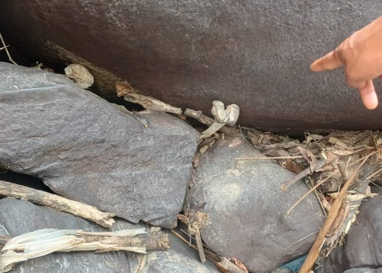 Skeletal remains suspected to belong to missing man found