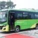 Meghalaya gets electric buses under PM-eBus Sewa scheme
