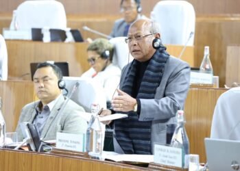 Govt addressing understaffing in police stations: Tynsong