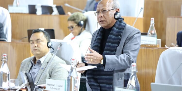 Govt addressing understaffing in police stations: Tynsong