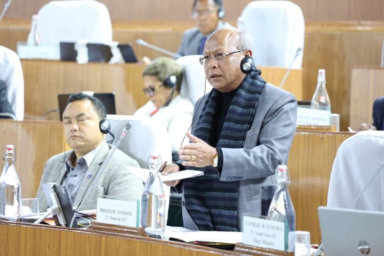 Govt addressing understaffing in police stations: Tynsong