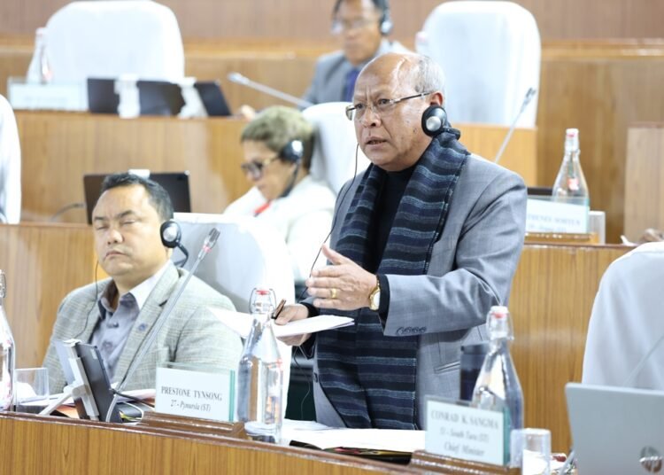 Govt addressing understaffing in police stations: Tynsong