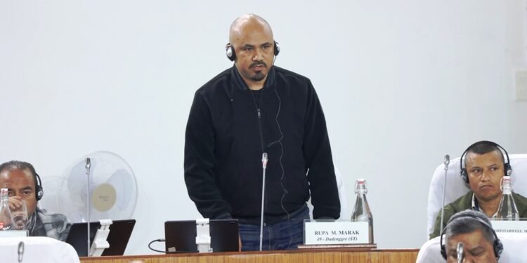 Opp raises concern over standard of PHE construction