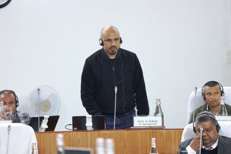 Opp raises concern over standard of PHE construction