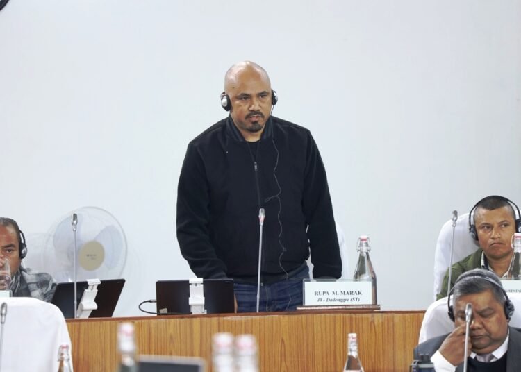 Opp raises concern over standard of PHE construction