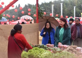 Strawberry Festival kicks off in Smit