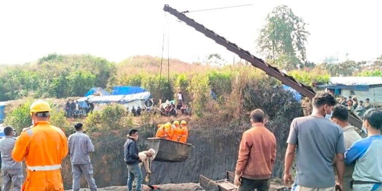 Shutting stable door after horse has bolted: EJH activates illegal coal taskforce