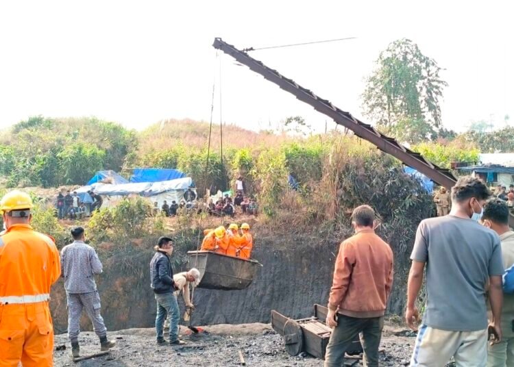 Shutting stable door after horse has bolted: EJH activates illegal coal taskforce