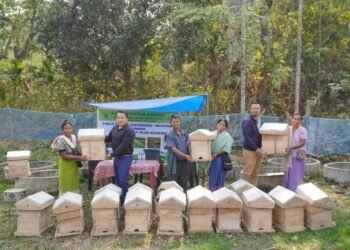 Farmers trained on canola farming