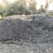 Another 300 tonnes of coal, 200 gelatin sticks recovered in EJH