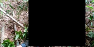 Dead body discovered in Risa Colony forest