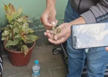 Man from Mizoram nabbed at Ward’s Lake with 2.5kg of cannabis