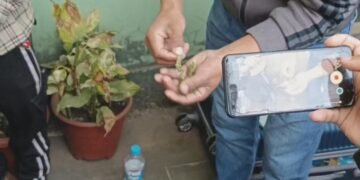 Man from Mizoram nabbed at Ward’s Lake with 2.5kg of cannabis