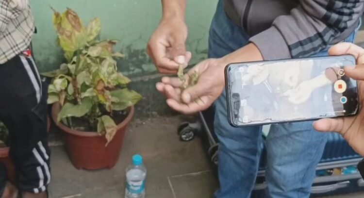 Man from Mizoram nabbed at Ward’s Lake with 2.5kg of cannabis