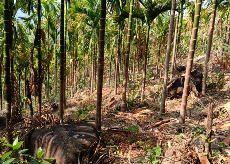 Violent clash over land sparks tension in EJH villages, 3 injured