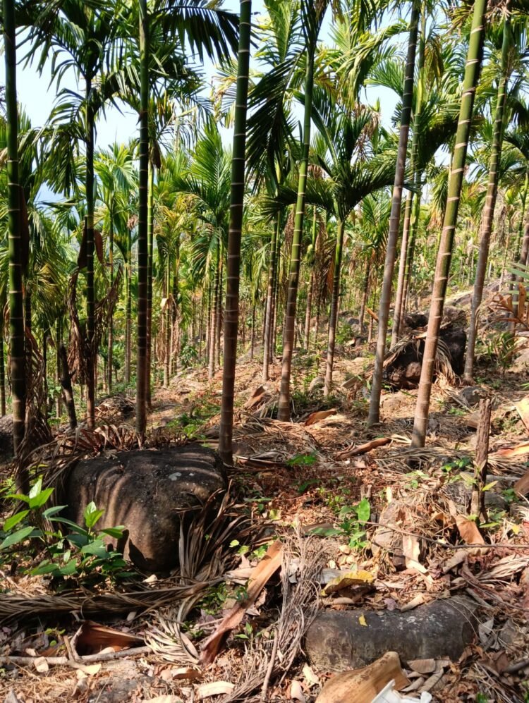 Violent clash over land sparks tension in EJH villages, 3 injured