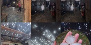 Hailstorm leads to widespread damage in State