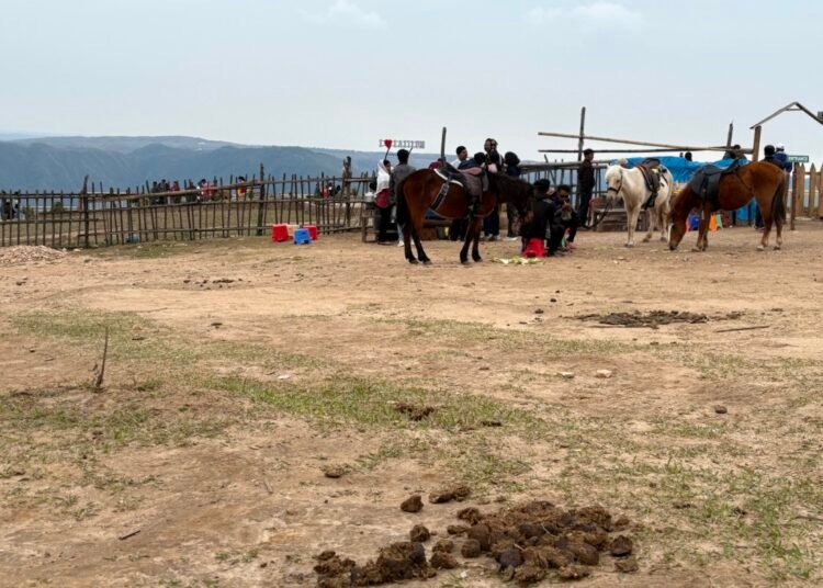 Sheen comes off Laitlum’s pristine beauty