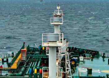 India among 5 nations granted passage through Strait of Hormuz by Tehran