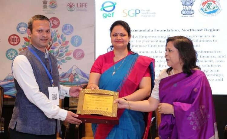 Renewable energy initiative recognised at WSDS 2026