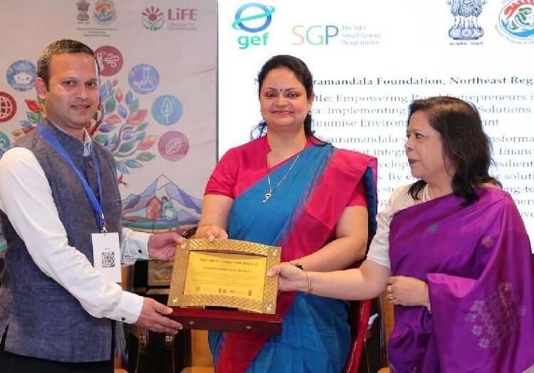 Renewable energy initiative recognised at WSDS 2026