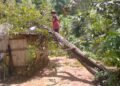 147 villages affected by huge storm in Ri-Bhoi