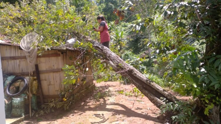 147 villages affected by huge storm in Ri-Bhoi