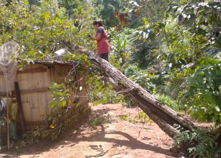 147 villages affected by huge storm in Ri-Bhoi