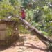 147 villages affected by huge storm in Ri-Bhoi