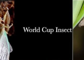 Ri Bhoi to celebrate Ñiangtaser