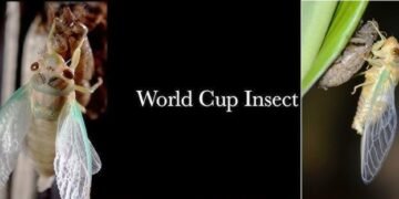 Ri Bhoi to celebrate Ñiangtaser