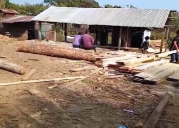 Activists set ultimatum to shut illegal sawmills in Jaintia Hills