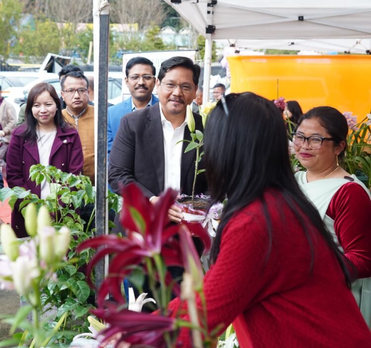 Political stability a key factor of progress in Meghalaya: Conrad