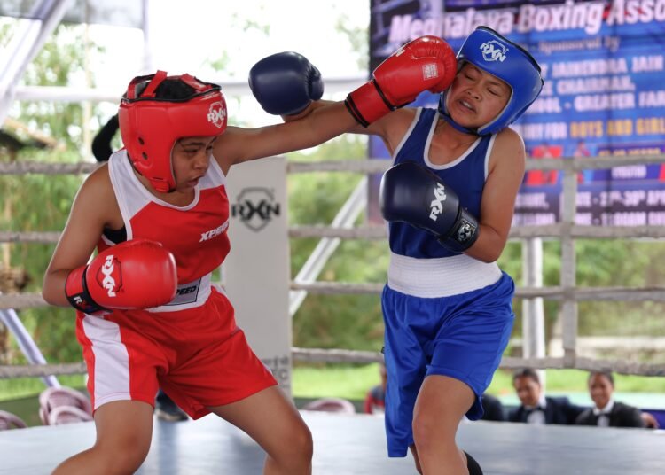State Boxing Championship 2025-26 sets up fantastic final day Thursday