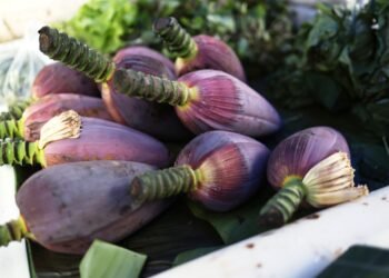 April farmers’ market celebrates seasonal harvest