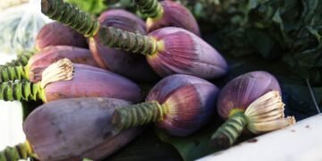 April farmers’ market celebrates seasonal harvest