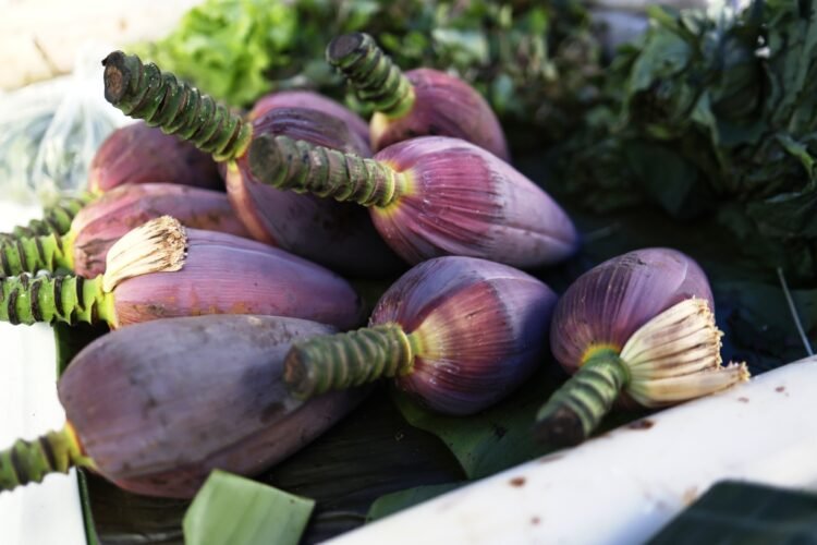 April farmers’ market celebrates seasonal harvest