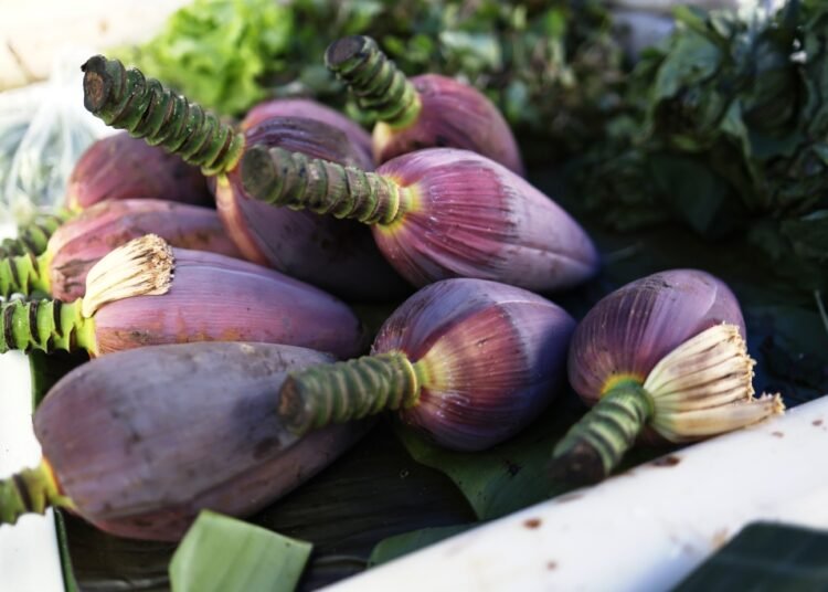 April farmers’ market celebrates seasonal harvest