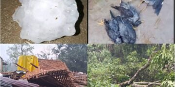 Storm wreaks havoc in SGH