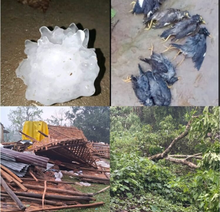 Storm wreaks havoc in SGH