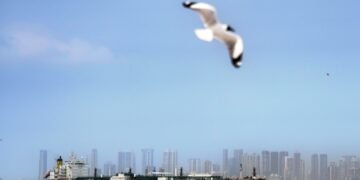 Commercial supply of LPG to ease in coming days: CM